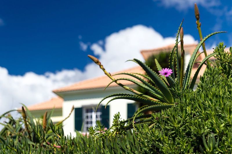 Hotel Quinta Alegre Calheta  Exterior foto